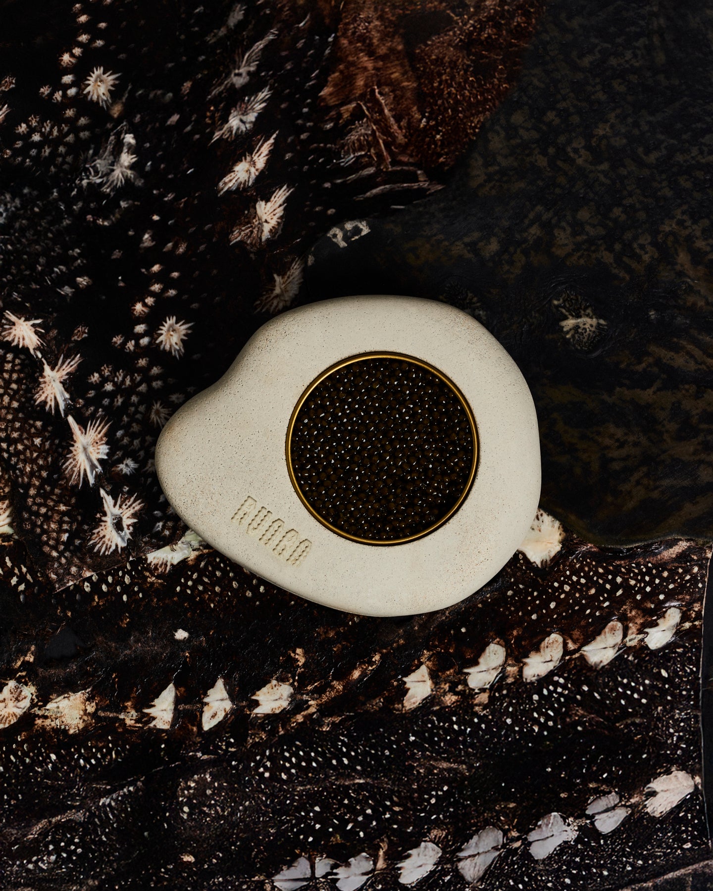 Type III •  Oscietra